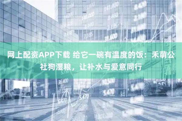 网上配资APP下载 给它一碗有温度的饭：禾萌公社狗湿粮，让补水与爱意同行