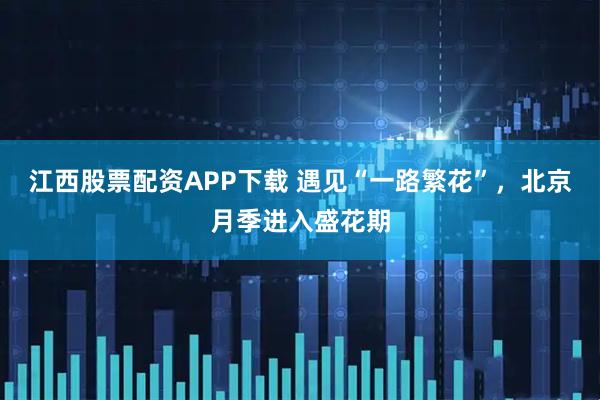 江西股票配资APP下载 遇见“一路繁花”，北京月季进入盛花期